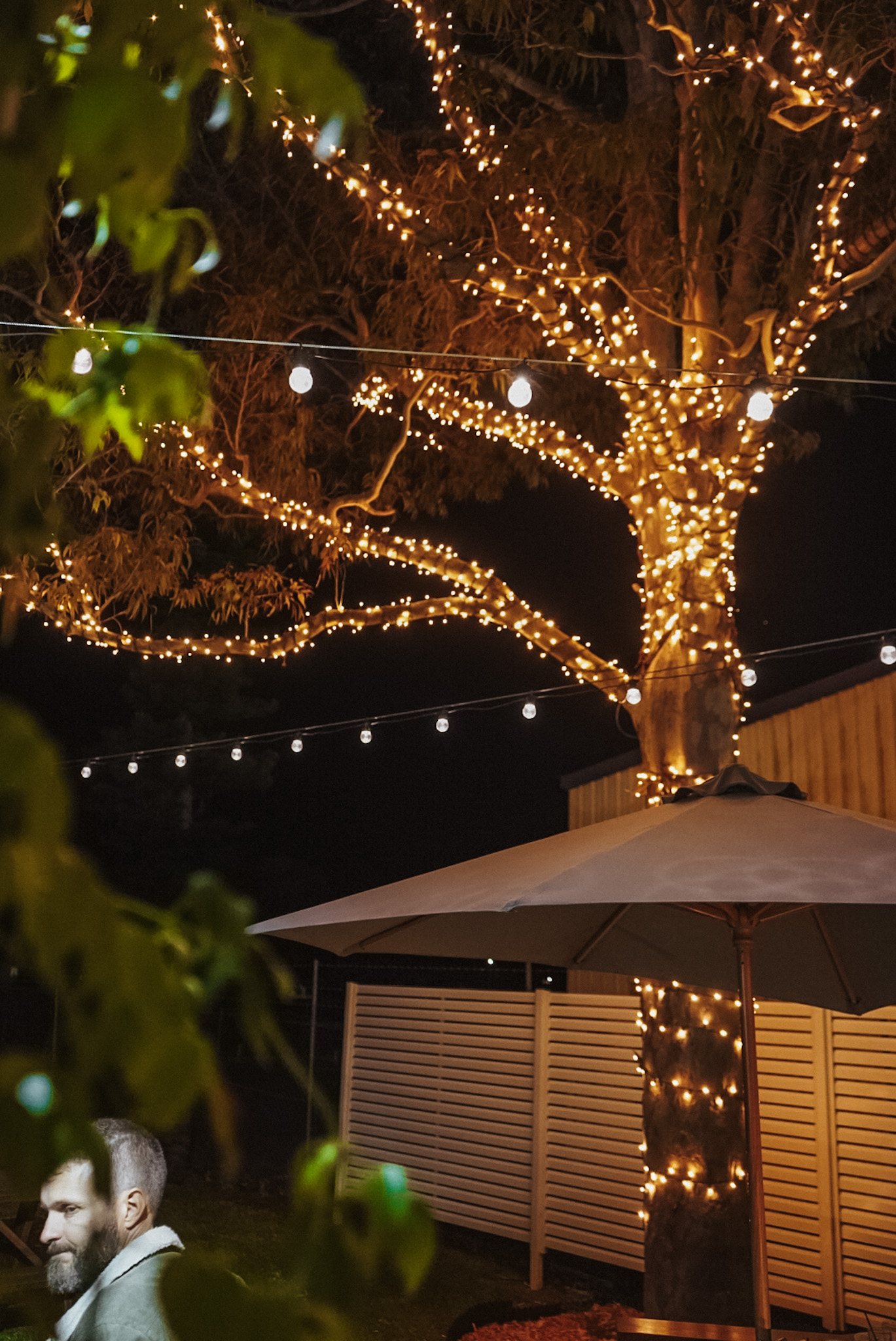 A huge tree glowing with fairy lights on The Terrace at night at The Bowl in Port Macquarie