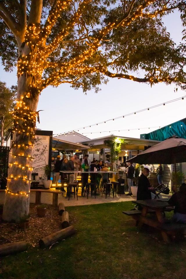 Fairy lights wrapped around a gum tree on The Terrace at dusk, with people gathered at the outdoor bar at The Bowl in Port Macquarie